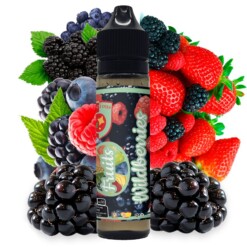 líquidos de vaper Wildberries 50ml - Fruits - vapori