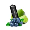 Blueberry Lime 20mg (Pack 4) - Ske Crystal 4 in 1 Prefilled Pod