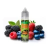 Citrus Forest 12ml (Longfill) - Jungle Fever